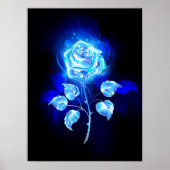 Poster Rose bleu brûlant (Devant)