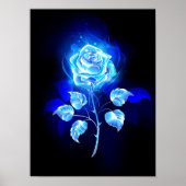 Poster Rose bleu brûlant (Devant)