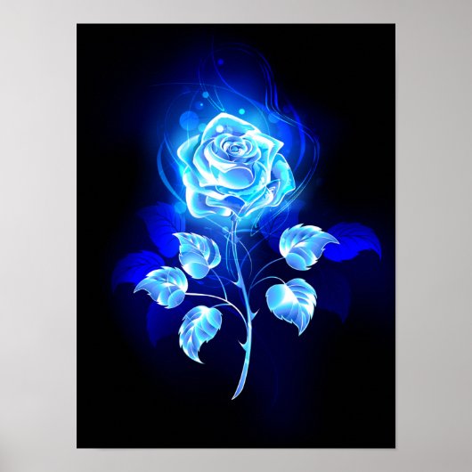 Poster Rose bleu brûlant (Devant)