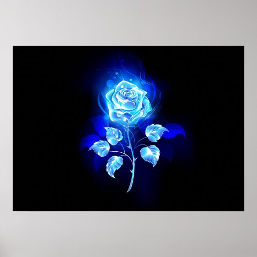 Poster Rose bleu brûlant (Devant)