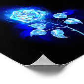 Poster Rose bleu brûlant (Coin)