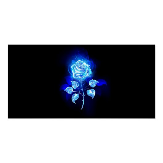 Poster Rose bleu brûlant (Devant)