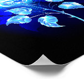 Poster Rose bleu brûlant (Coin)