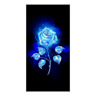 Poster Rose bleu brûlant