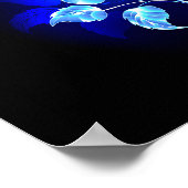 Poster Rose bleu brûlant (Coin)