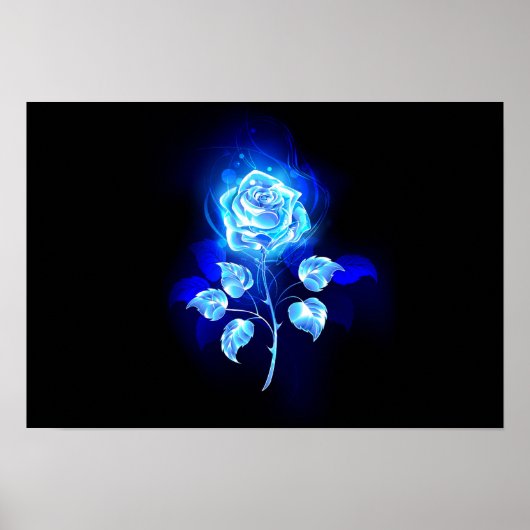 Poster Rose bleu brûlant (Devant)