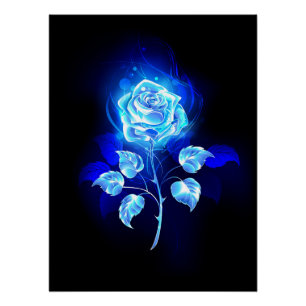 Poster Rose bleu brûlant