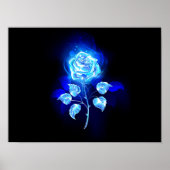 Poster Rose bleu brûlant (Devant)