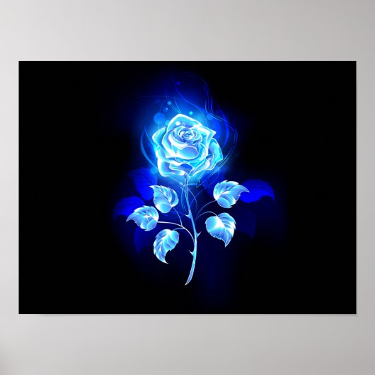 Poster Rose bleu brûlant (Devant)