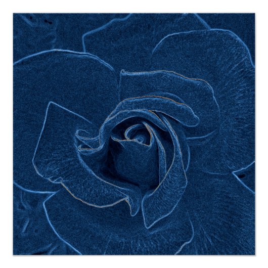Poster rose bleu velouté (Devant)