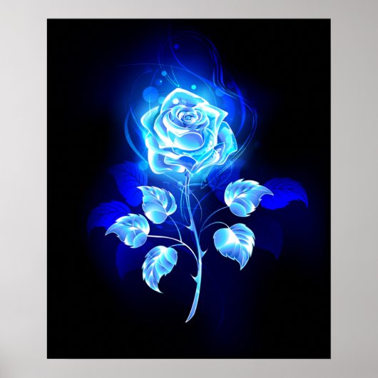 Poster Rose bleue brûlante (Devant)
