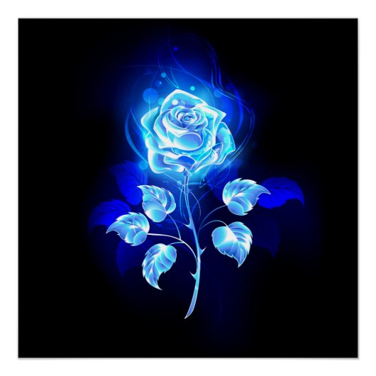 Poster Rose bleue brûlante (Devant)