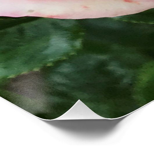 Poster rose brillant (Coin)