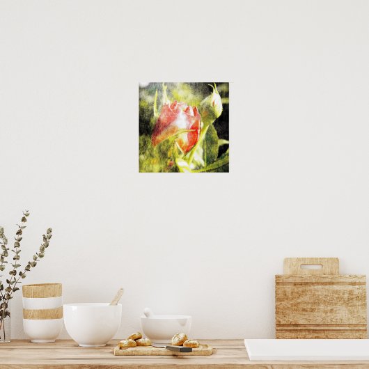 Poster Rose Bud (Cuisine)