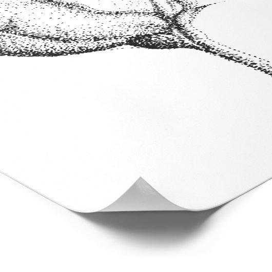 POSTER ROSE BUD (Coin)