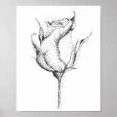 POSTER ROSE BUD (Devant)