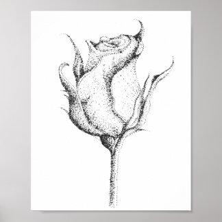 POSTER ROSE BUD