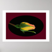 Poster Rose Bud (Devant)