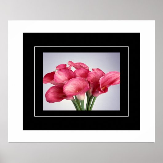 Poster rose Calla Lilies (Devant)