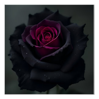 Poster Rose Cœur Noir