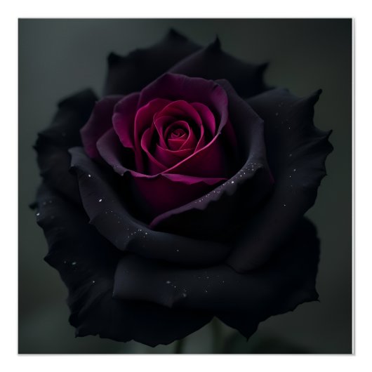 Poster Rose Cœur Noir (Devant)