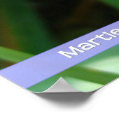 Poster Rose contre vert (Coin)