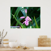 Poster Rose contre vert (Cuisine)