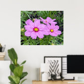 Poster rose Cosmos (Bureau à domicile)
