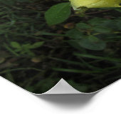 Poster Rose cubiste (Coin)