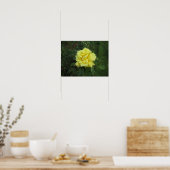 Poster Rose cubiste (Cuisine)