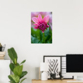 Poster rose Dahlia (Bureau à domicile)