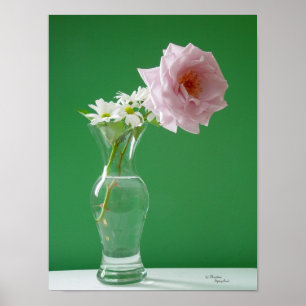 Poster rose Daisies