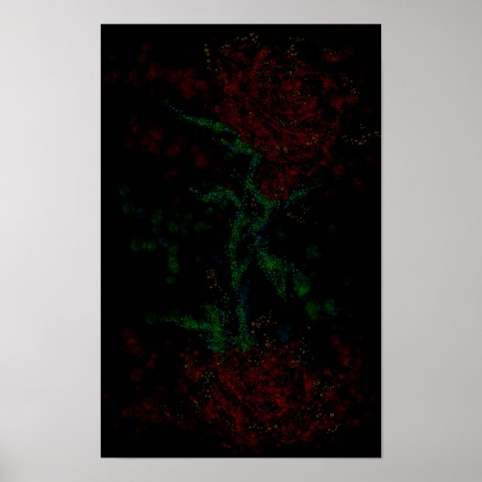 Poster Rose dans le noir (Devant)