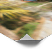 Poster Rose d'automne toscan. Toscane. (Coin)