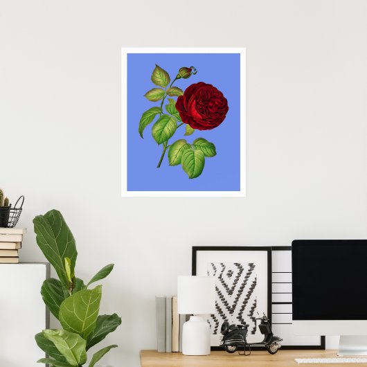 Poster Rose de chou (Bureau à domicile)