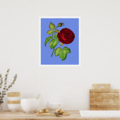Poster Rose de chou (Cuisine)