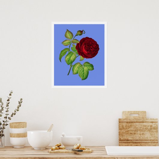 Poster Rose de chou (Cuisine)
