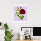 Poster Rose de chou (Bureau à domicile)