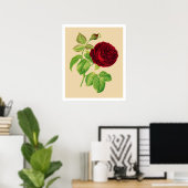 Poster Rose de chou (Bureau à domicile)