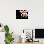 Poster Rose de danse 16x12 (Bureau à domicile)