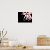 Poster Rose de danse 16x12 (Cuisine)