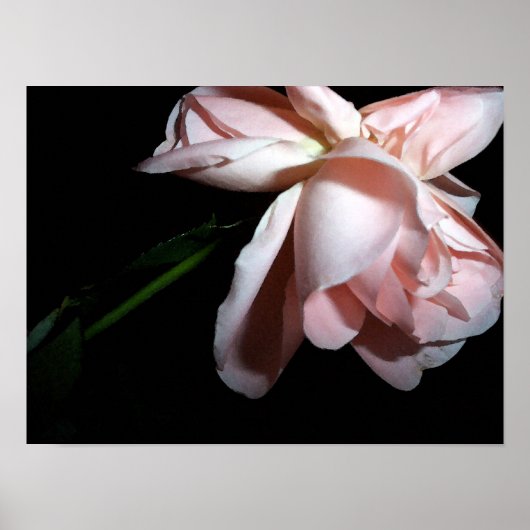 Poster Rose de danse 16x12 (Devant)