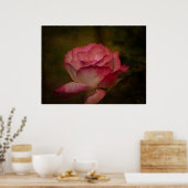 Poster Rose de début de soirée (Cuisine)