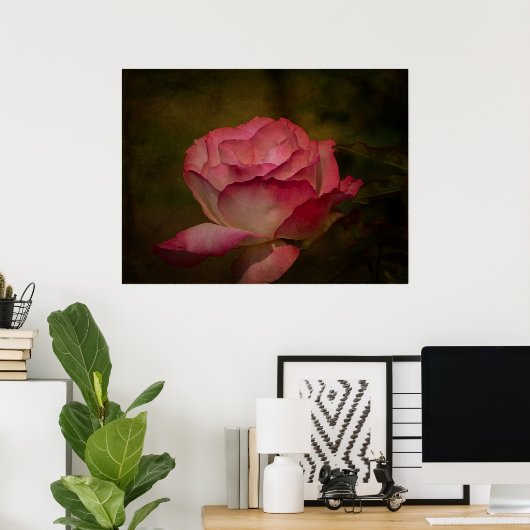 Poster Rose de début de soirée (Bureau à domicile)