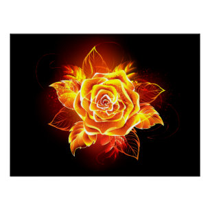 Poster Rose de feu en fleurs