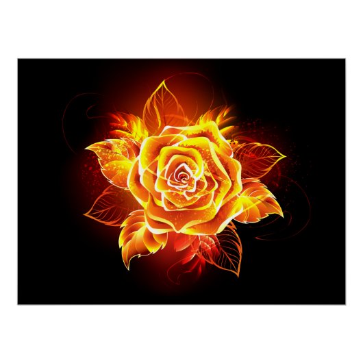 Poster Rose de feu en fleurs (Devant)