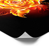 Poster Rose de feu en fleurs (Coin)
