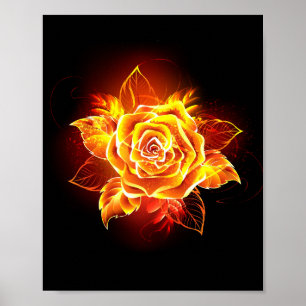 Poster Rose de feu en fleurs