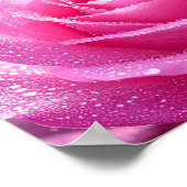 Poster rose de Frédéric Mistral Rose embrassé par (Coin)