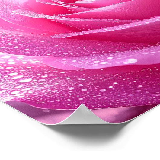 Poster rose de Frédéric Mistral Rose embrassé par (Coin)